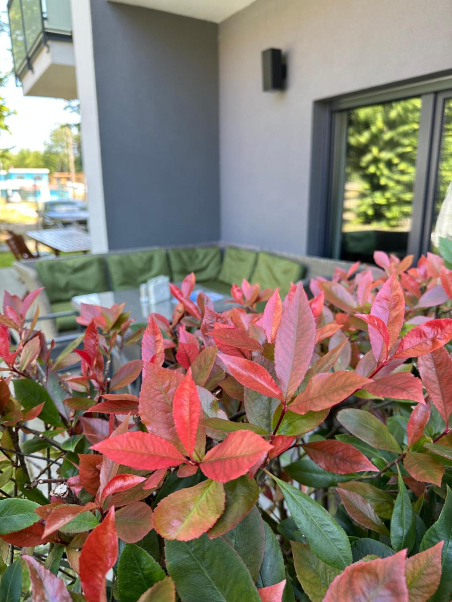 Holiday Siesta Pensjonat, Domki Rewal Kültér fotó